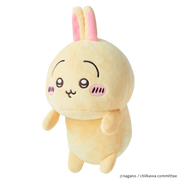 Posture Pal - CHiiKAWA - Charming Display Accent