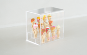 Sonny Angel Acrylic Display Case - Desk Display