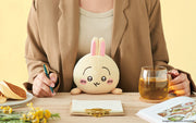 Posture Pal - CHiiKAWA - Charming Display Accent