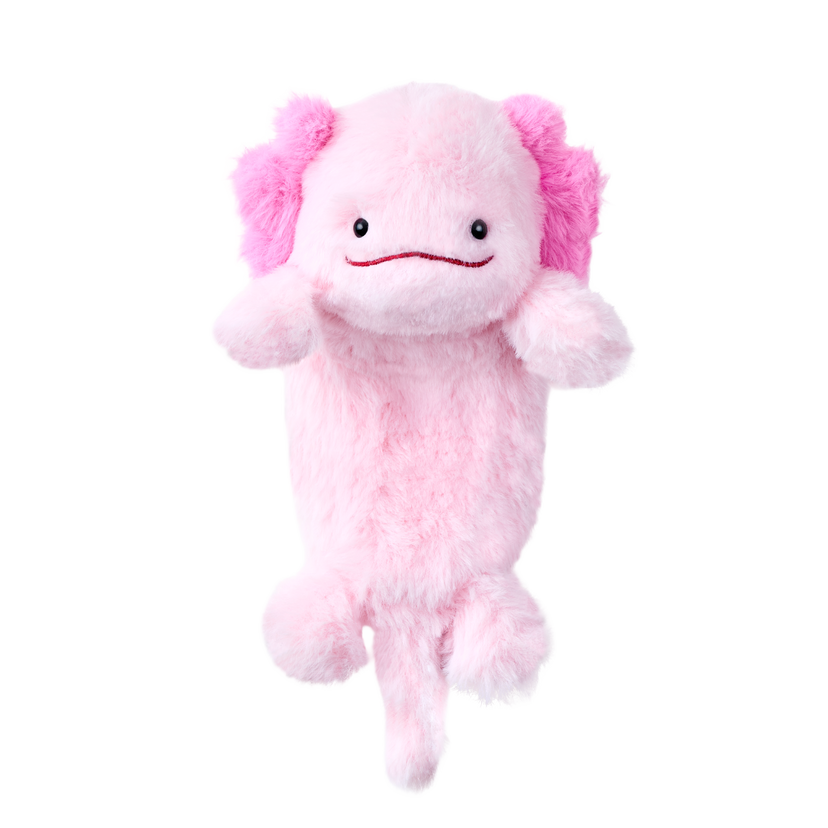 Posture Pal - Cozy Choice