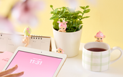 HIPPERS Cherry Blossom Series - Series Choice