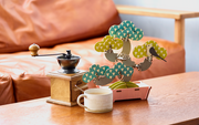 Play Plants Bonsai Puzzles - Gift Pocket Accent
