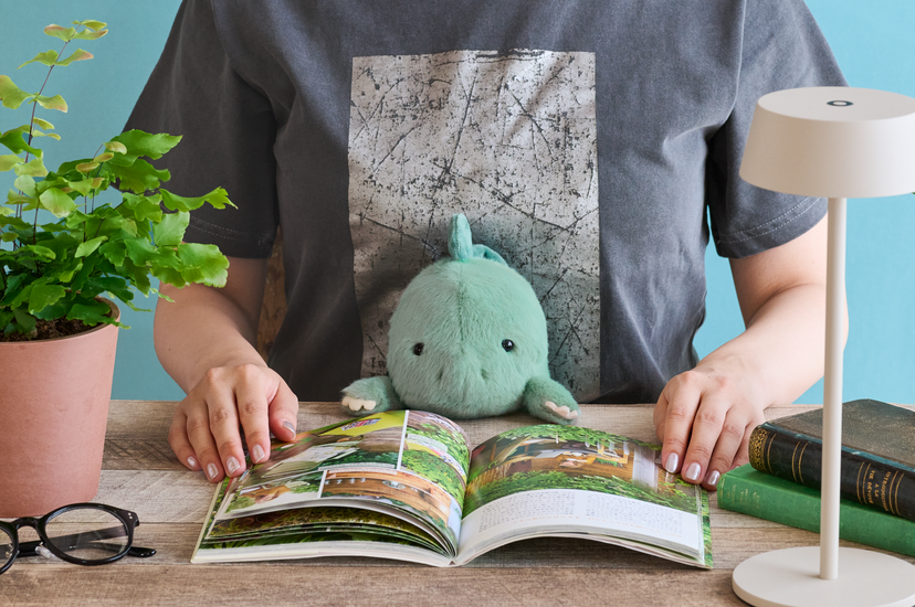 Posture Pal - Dinosaur - Classic Shelf Choice