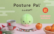 Posture Pal - Modern Travel Pick