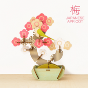 Play Plants Bonsai Puzzles - Gift Pocket Accent